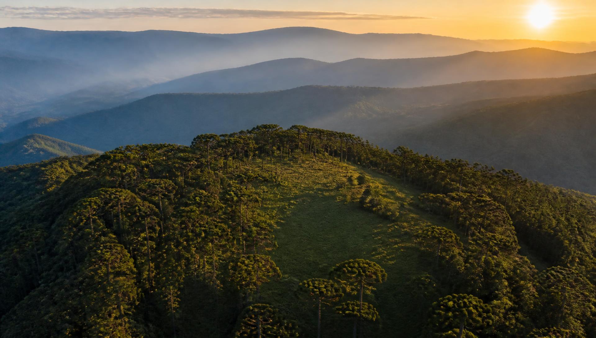 Vista aérea do terreno na Serra da Mantiqueira, Campos do Jordão